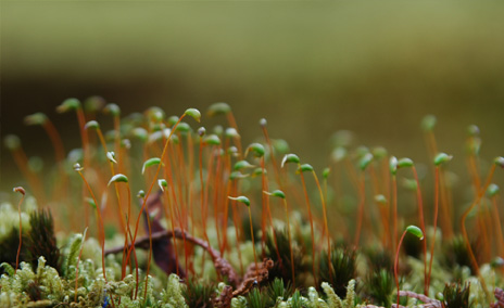 V3.0 製法－化學(xué)繊維織物