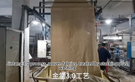 金堂単一プロセス (積層 + 短時間蒸し) 複數の生地